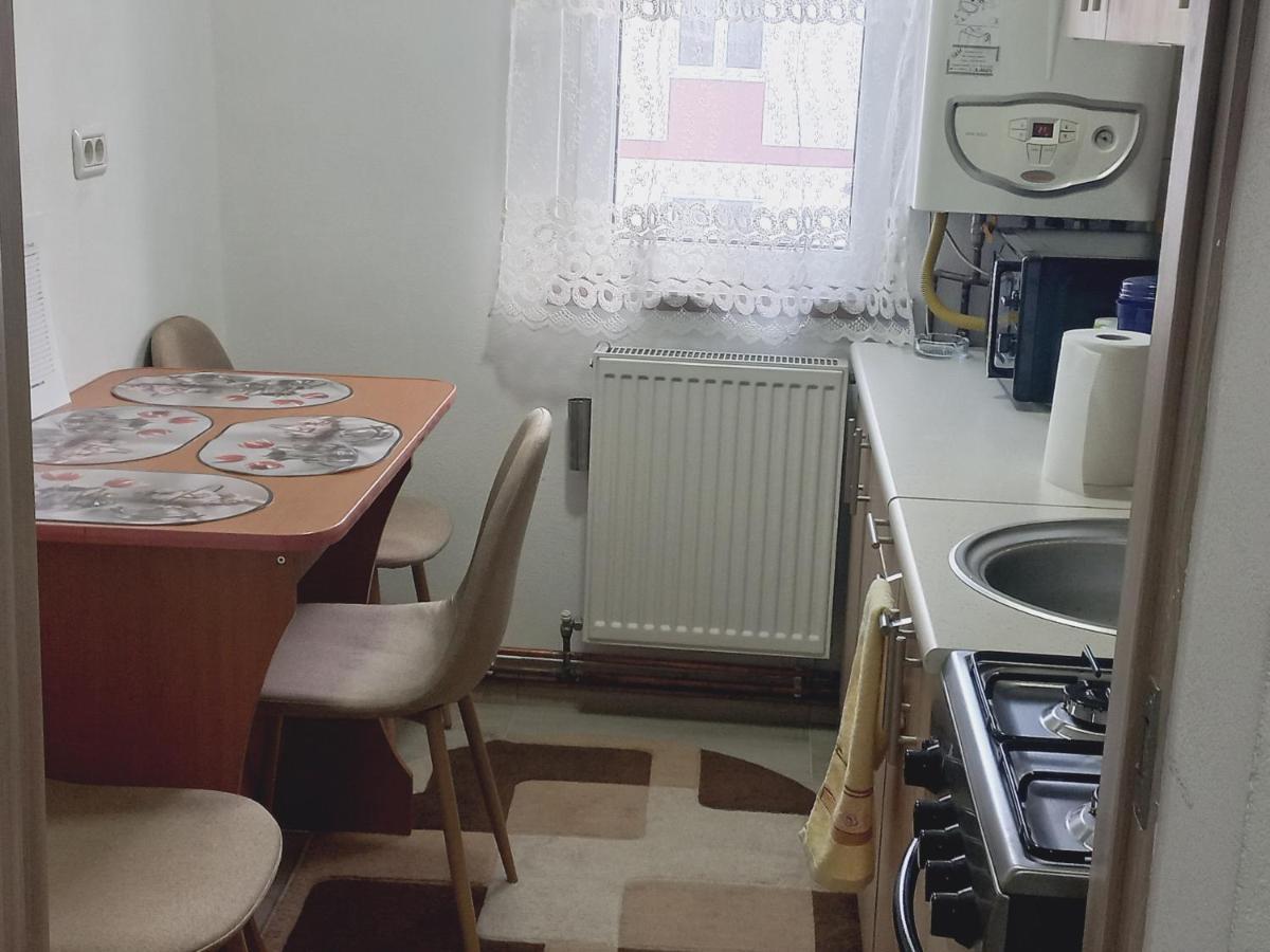 Apartament Bianca Campulung Moldovenesc Ngoại thất bức ảnh