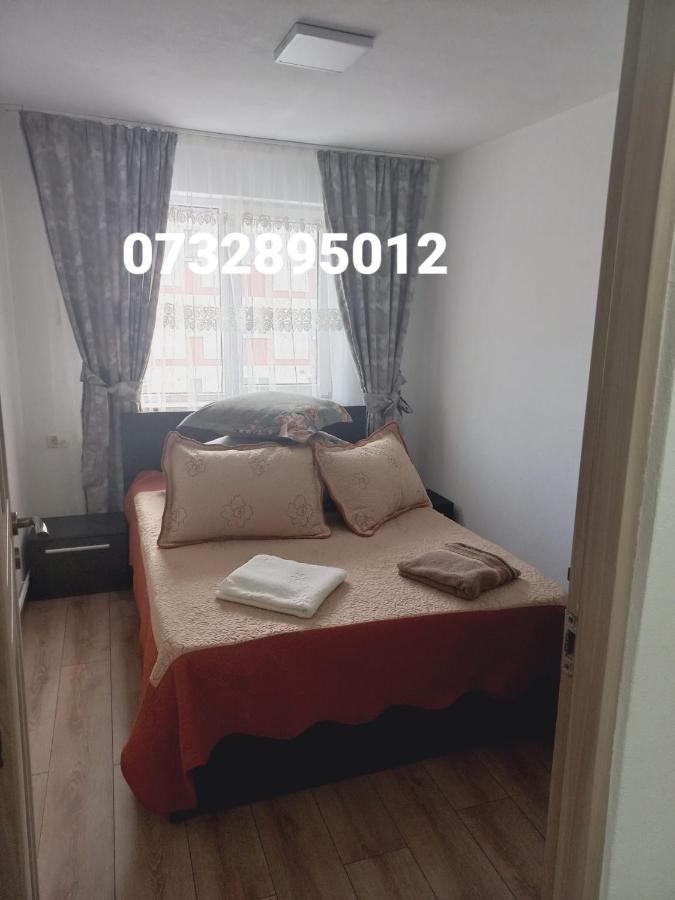 Apartament Bianca Campulung Moldovenesc Ngoại thất bức ảnh