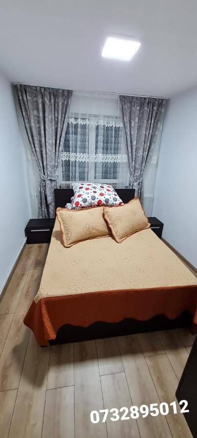 Apartament Bianca Campulung Moldovenesc Ngoại thất bức ảnh